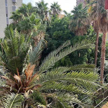 Benilove2-roymar -terrasse Tropicale A Levante- Parking Gratuit Apartment *